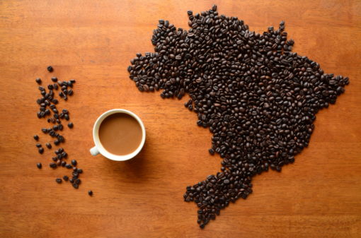Café brasileiro é exemplo de sustentabilidade para o mundo