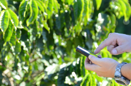 Embrapa lança oportunidade em agricultura digital e sustentabilidade