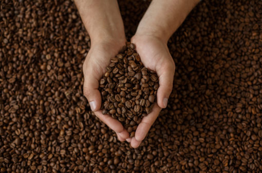 1,82 milhão de hectares é a área de produção dos cafés brasileiros em 2022
