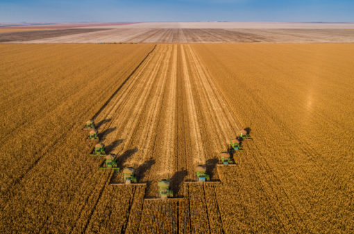 Brazil leads agricultural productivity in a list of 187 countries