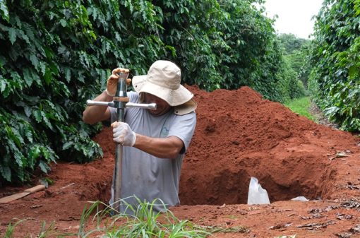Boas práticas agrícolas tornam a cafeicultura brasileira ‘carbono negativo’