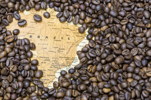 Produção brasileira de café determinará o balanço global do mercado