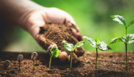 O que as nanopartículas do solo se relacionam com as práticas ESG?