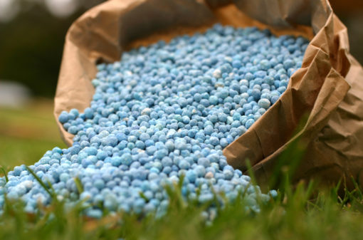 Mapa vai a Jordânia, Egito e Marrocos para ampliar negociações de fertilizantes