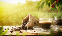 Sul de Minas receberá dias de campo sobre cafeicultura