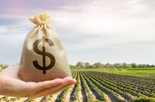 Plano Safra estabelece crédito de R$340,8 bi para financiar a agricultura  