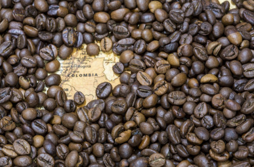 Colômbia tem nova queda na produção de café arábica, segundo FNC