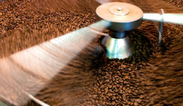 Borra de café é utilizada na fabricação de sapatos