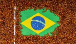 Coffee of the Year Brasil está com inscrições abertas